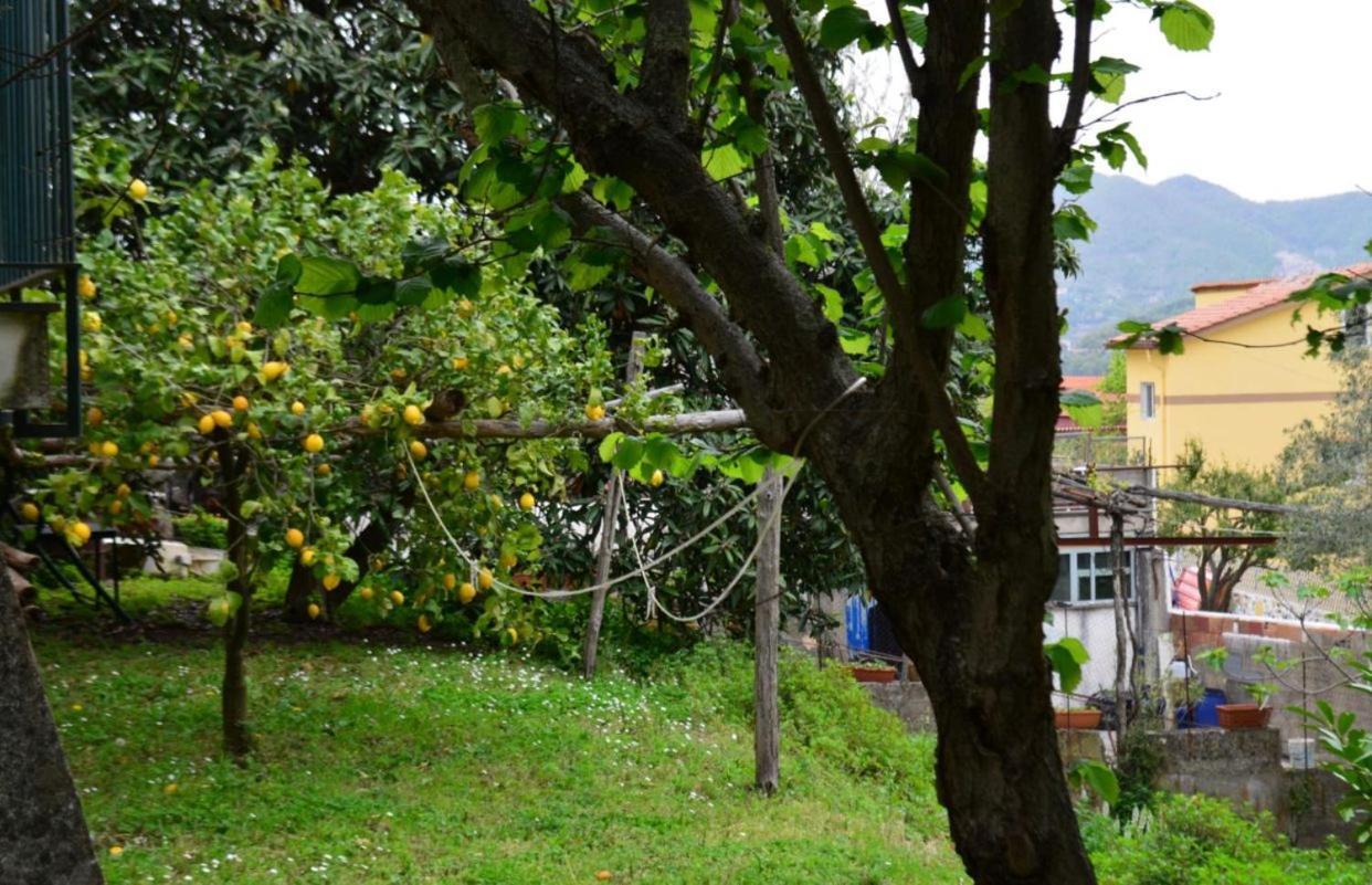 Casaventre Appartement Vietri Buitenkant foto